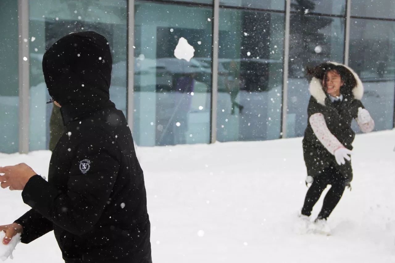 九游会·J9-官方网站|真人游戏第一品牌